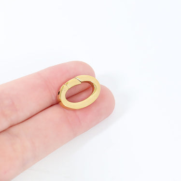 Flat Oval Carabiner Scale