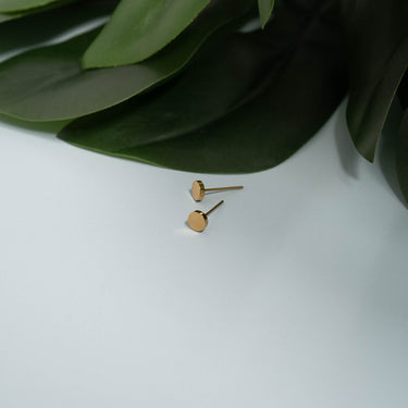 Steel Round Stud Earrings Lifestyle