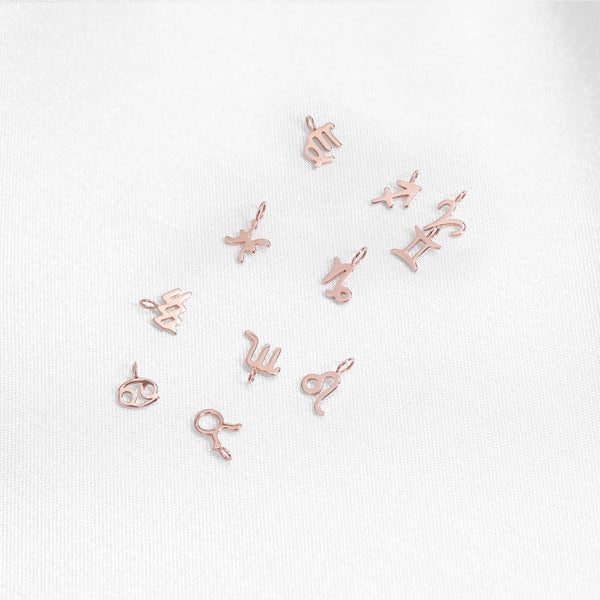 Permanent Jewelry 14K Solid Rose Gold Zodiac Charms / PMJ2009
