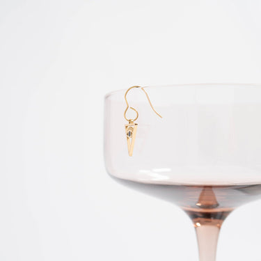 Steel Wire Earring Hooks