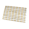 10 Pack - 6.75" Stainless Steel And Gold PVD Coated Magnetic Bracelet / MBL021