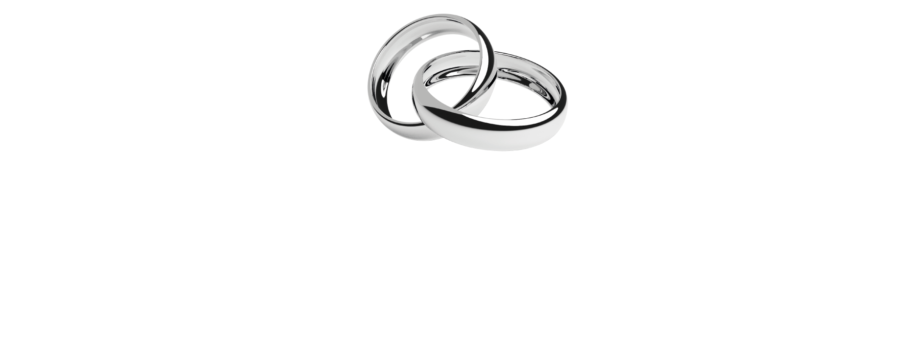 Wholesale Jewelry Website logo