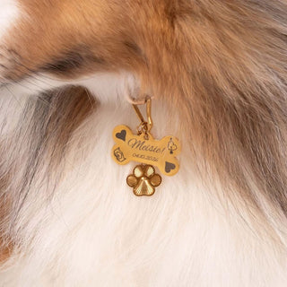 Pet Jewelry