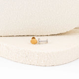Wholesale jewelry 18K Gold PVD Stainless Steel Sunburst Shell Nose Stud- stainless and gold studio 