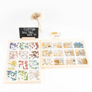 Wholesale Jewelry 195-Piece Pet Tag Display Kit with Signage- Studio