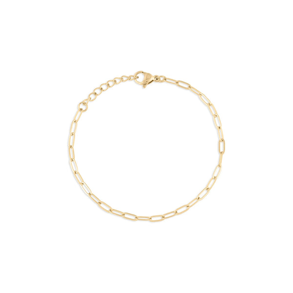Wholesale Jewelry 14K Gold Filled Plus Paperclip Chain Bracelet- Main- 2.5mm