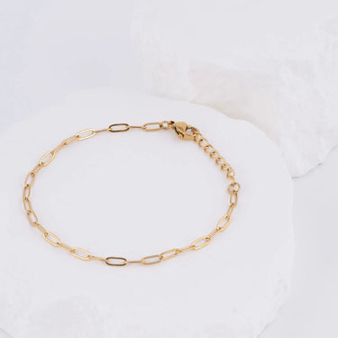Wholesale Jewelry 14K Gold Filled Plus Paperclip Chain Bracelet- Studio- 2.5mm