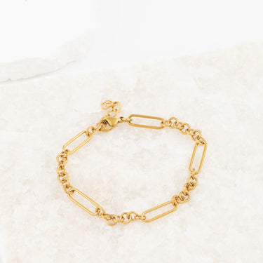Wholesale jewelry 18K Gold PVD Stainless Steel Mixed Chain Bracelet - gold studio  