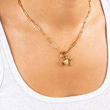 Wholesale jewelry 18K Gold PVD Stainless Steel Pet Charm Holder Necklace Gift Set- gold model