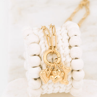 Wholesale jewelry 18K Gold PVD Stainless Steel Pet Charm Holder Necklace Gift Set- gold studio