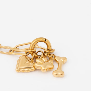 Wholesale jewelry 18K Gold PVD Stainless Steel Pet Charm Holder Necklace Gift Set- gold studio