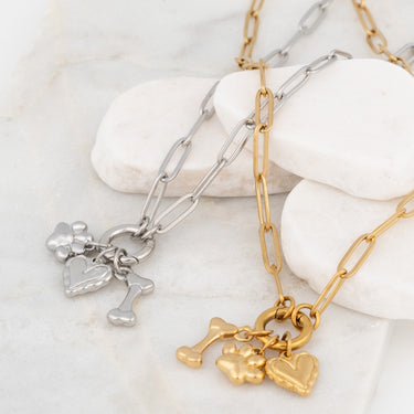 Wholesale jewelry 18K Gold PVD Stainless Steel Pet Charm Holder Necklace Gift Set- gold and stainless studio