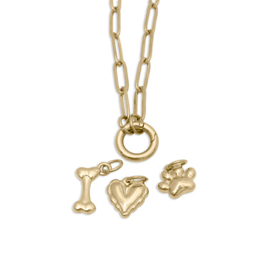 Pet Carabiner Charm Gift Set