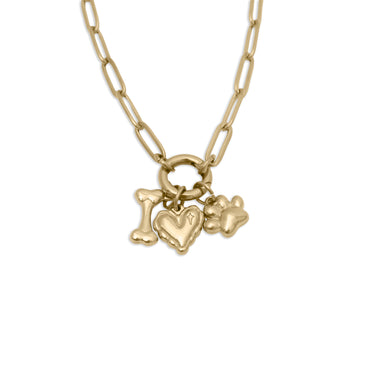 Pet Carabiner Charm Gift Set