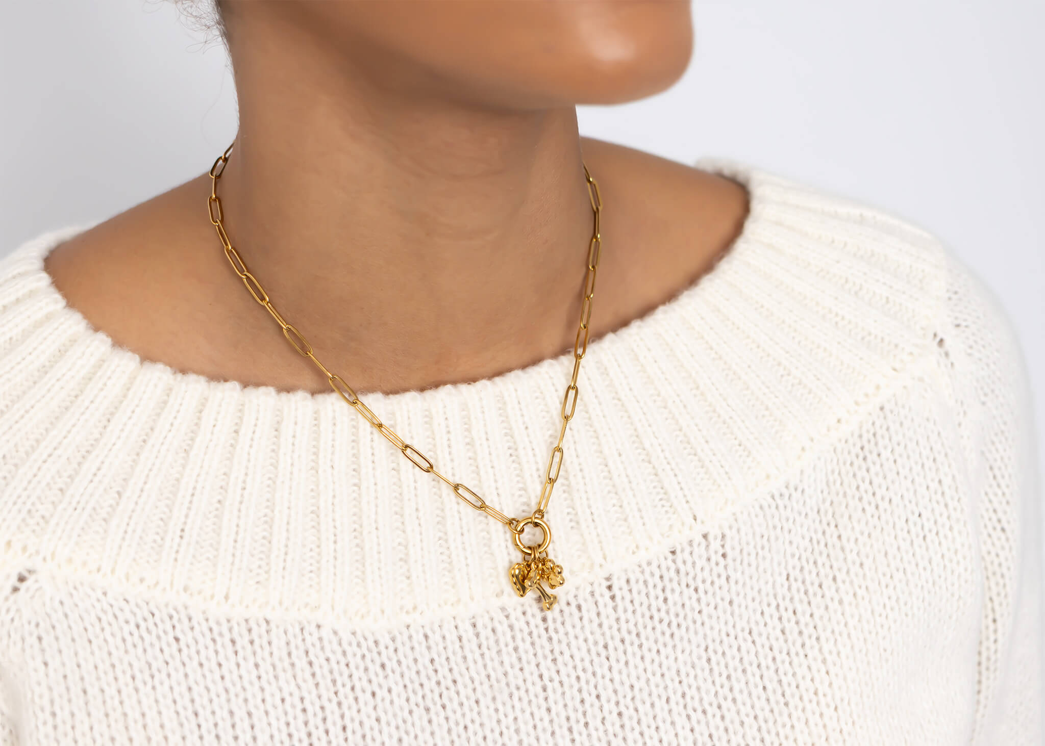 Pet Carabiner Charm Gift Set