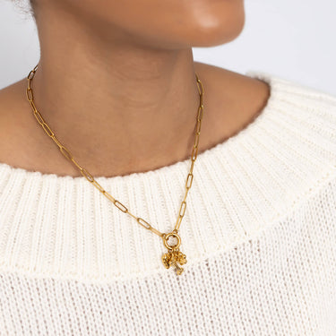 Pet Carabiner Charm Gift Set