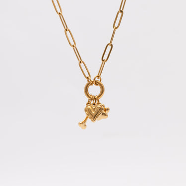 Pet Carabiner Charm Gift Set