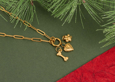 Pet Carabiner Charm Gift Set
