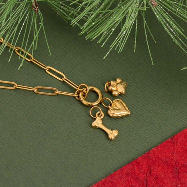 Pet Carabiner Charm Gift Set