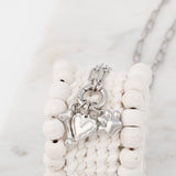 Wholesale jewelry 18K Gold PVD Stainless Steel Pet Charm Holder Necklace Gift Set- stainless studio