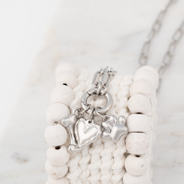 Wholesale jewelry 18K Gold PVD Stainless Steel Pet Charm Holder Necklace Gift Set- stainless studio