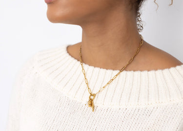 Angel Wing Carabiner Charm Gift Set