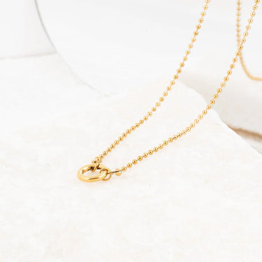 Wholesale jewelry 18K Gold PVD Stainless Steel Beaded Charm Holder Necklace- gold studio 