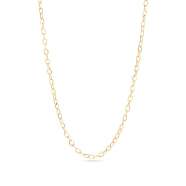 Gold chain necklace on a white background