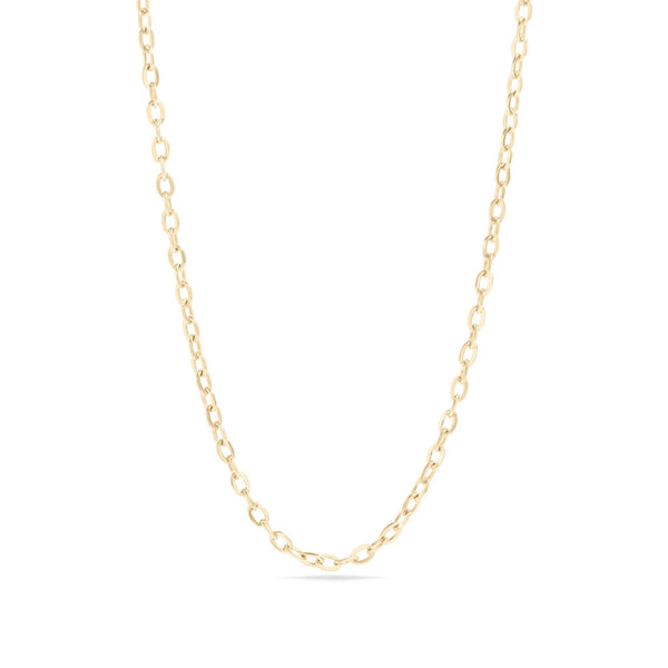 Gold chain necklace on a white background