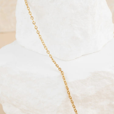 wholesale jewelry 14K Gold Filled Plus™ Crimped Oval Link Chain Necklace- studio 