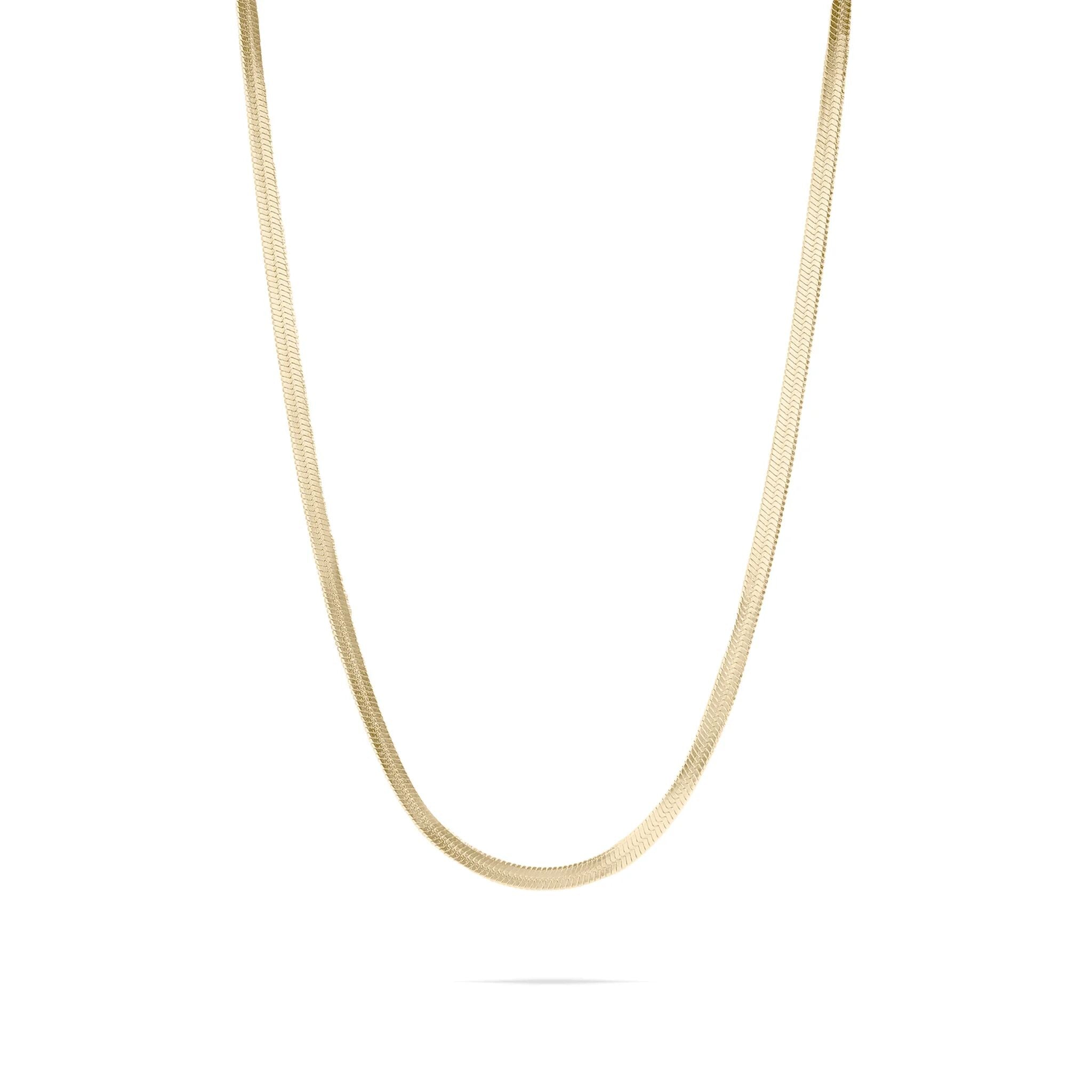 Gold chain necklace on a white background