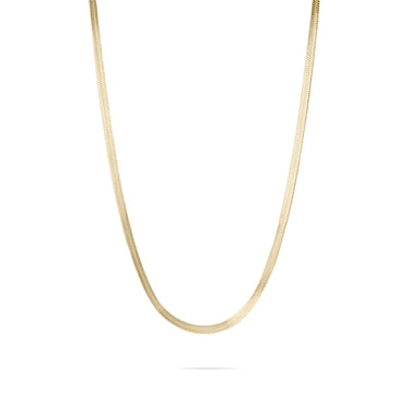 Gold chain necklace on a white background