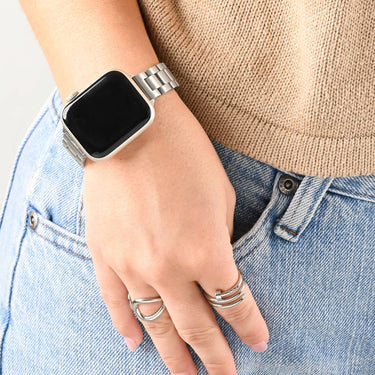 Watch Band Bundle / BND0121- stainless model 