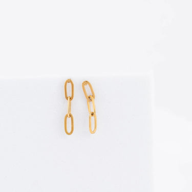 18K Gold PVD Stainless Steel Paperclip Earrings- gold studio 