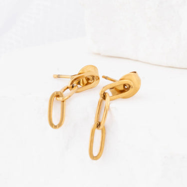 18K Gold PVD Stainless Steel Paperclip Earrings- gold studio