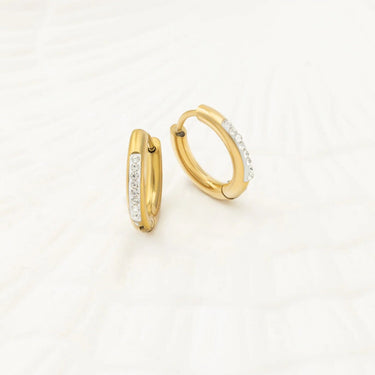 Wholesale jewelry 18K Gold PVD Stainless Steel CZ Huggie Hoop Earrings - gold studio 