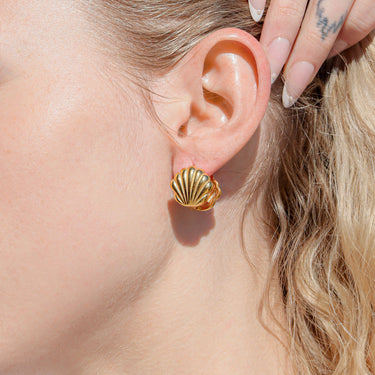 Huggie Shell earrings in gold 