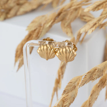 18K Gold PVD Stainless Steel Shell Huggies Earrings- gold studio 