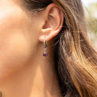 Stainless Steel Birthstone Huggie Earrings