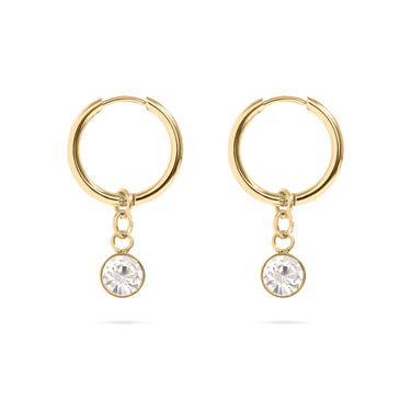 18K Gold PVD Birthstone Huggie Earring