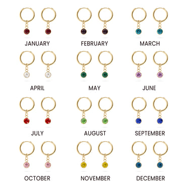 18K Gold PVD Birthstone Huggie Earring