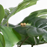 Stainless Steel Knot Stud Earrings 