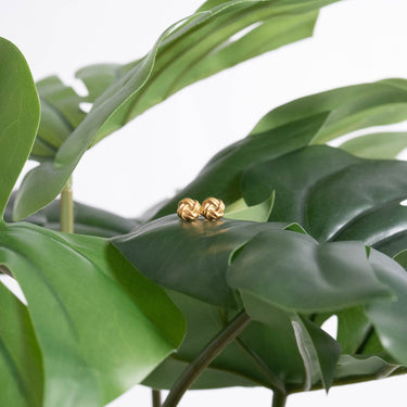 Stainless Steel Knot Stud Earrings 