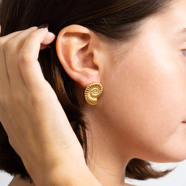 18K Gold PVD Stainless Steel Nautilus Stud Earring