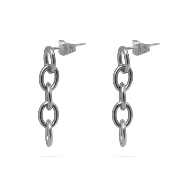 Pair of silver chain link earrings on a white background
