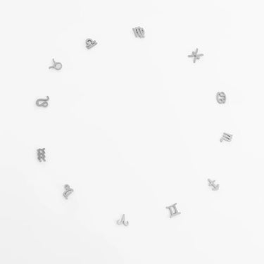 Silver zodiac charm beads on a white background