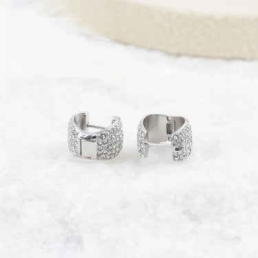 Wholesale jewelry 18K Gold PVD Stainless Steel Pave Stone Huggie Earrings- stainless studio 