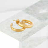 Wholesale jewelry 18K Gold PVD Stainless steel Pavé Inner Hoop Earrings - gold studio 