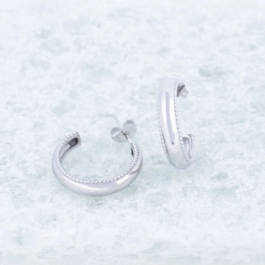 Wholesale jewelry 18K Gold PVD Stainless steel Pavé Inner Hoop Earrings - stainless studio 