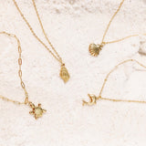  Sea Turtle Charm